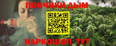 сатива Нальчик